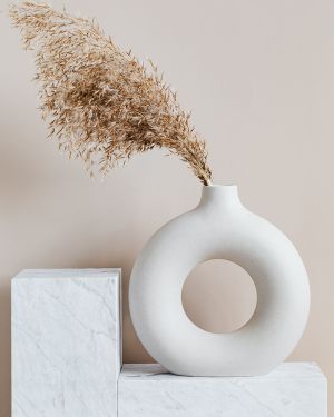 Ceramic Vase with Pampas Grass (Demo)