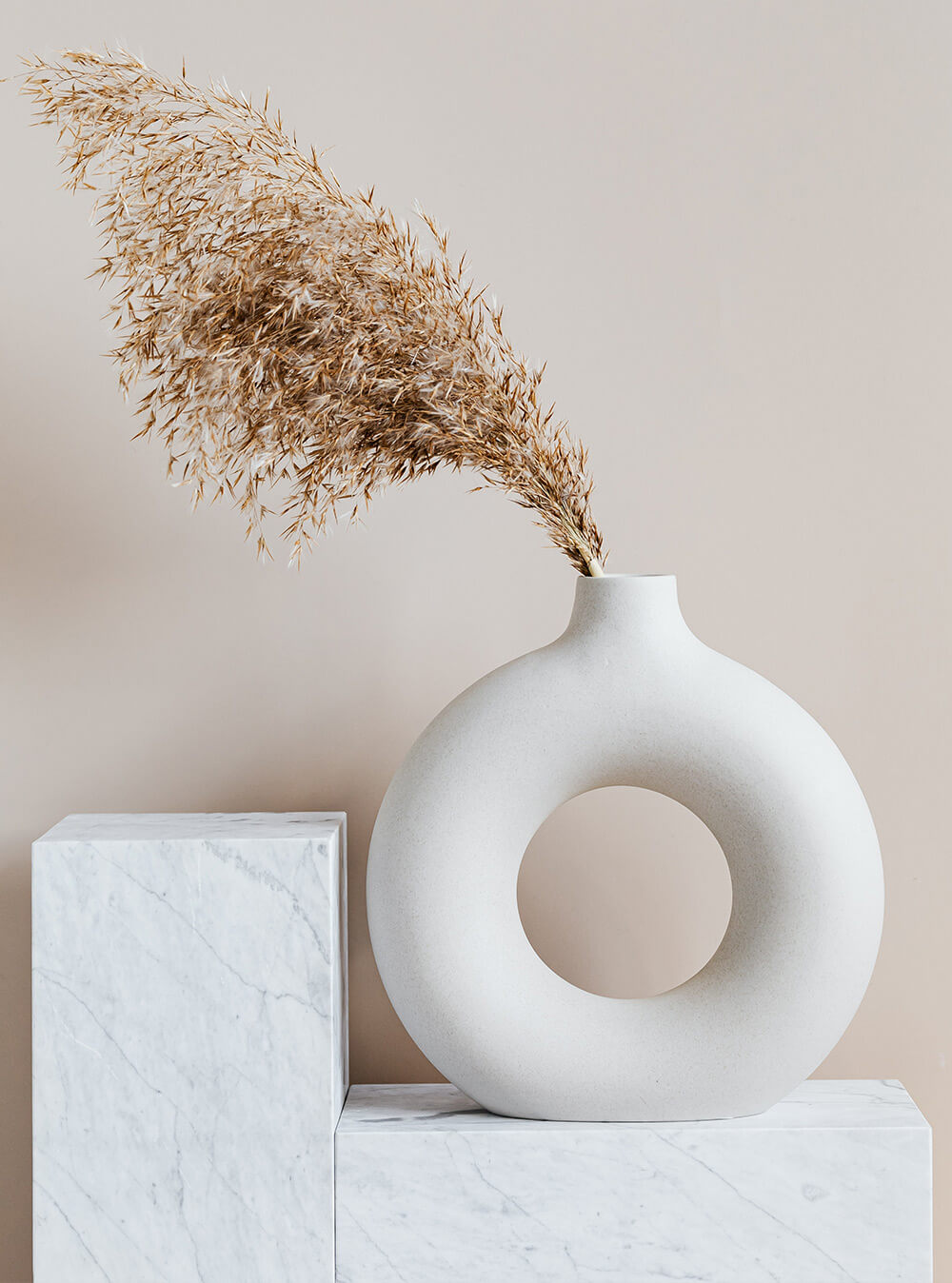 Ceramic Vase with Pampas Grass (Demo)